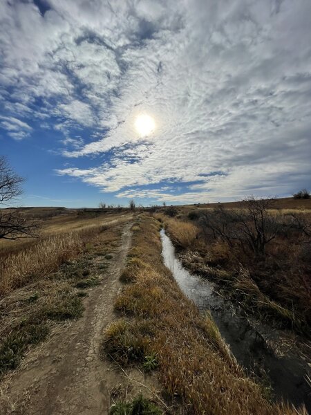 Ward Canal trail looking south