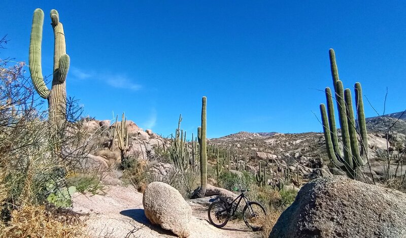 The one of many corners with "large rocks"! Nice views. Worth the effort. Almost ran over a gila monsters on down the trail.