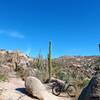 The one of many corners with "large rocks"! Nice views. Worth the effort. Almost ran over a gila monsters on down the trail.