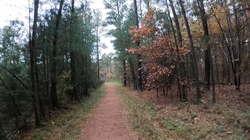 Wide-open sections of the trail