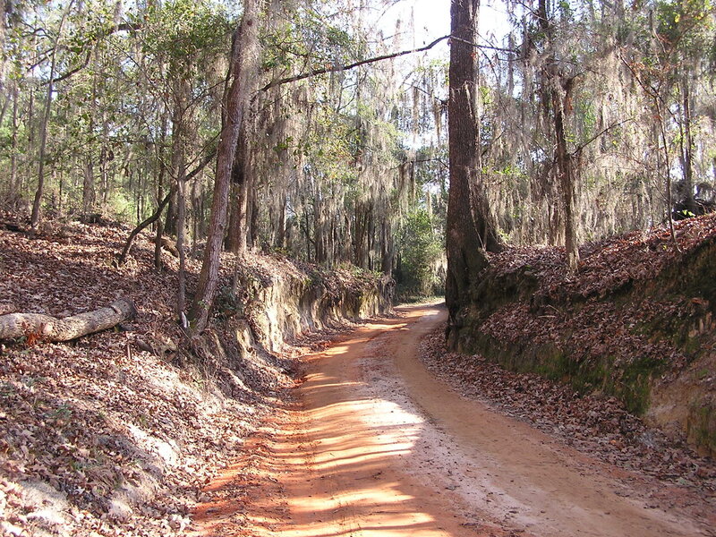 the spur trail to access the Savannah River