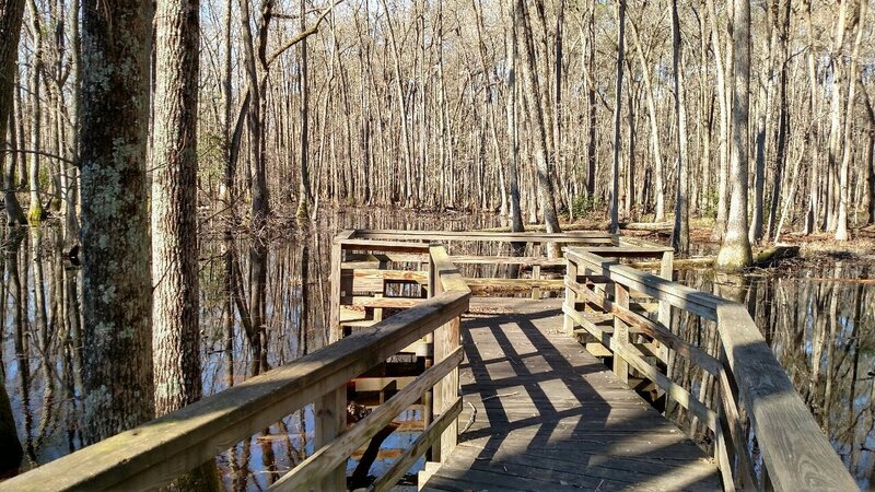 the nice short boardwalk on ASC Tanager Trail. a nice place for photos or a rest