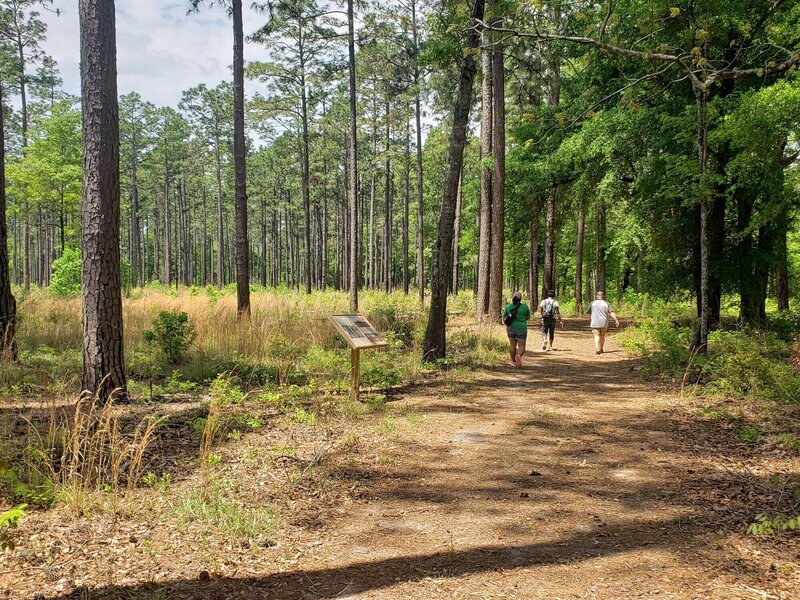 sharing the Nuthatch Trail with hikers