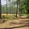 sharing the Nuthatch Trail with hikers