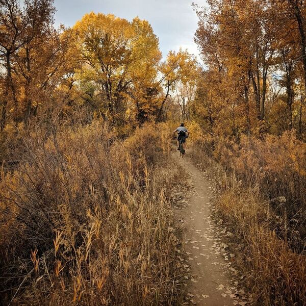 Cottonwood Trail in the fall