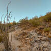 Steep section on the western part of Piestewa Peak Nature Trail.