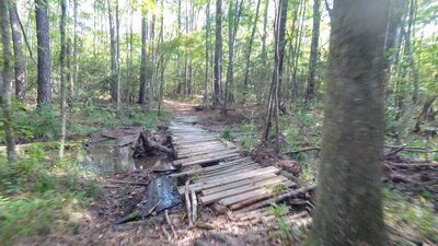 First bridge, no easy rolling on from either end and some boards have broken or come loose.