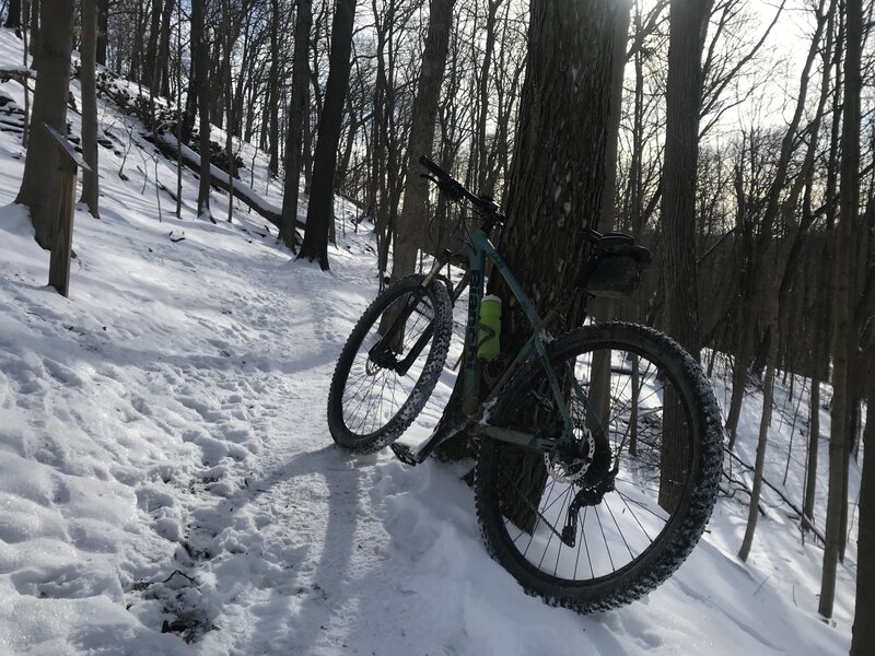 Always fun in the snow!