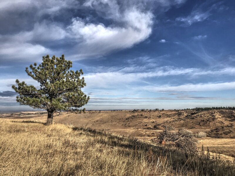 Looking into East Boulder