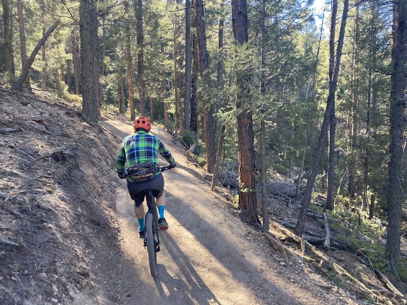 Tons of shade on the switch backy climb