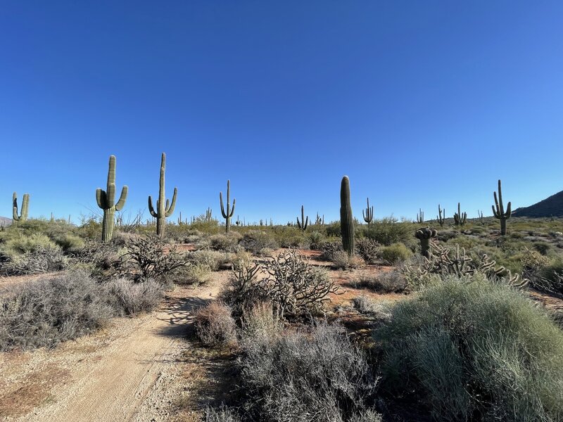 Brown's Ranch Perimeter Loop