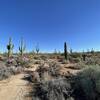 Brown's Ranch Perimeter Loop