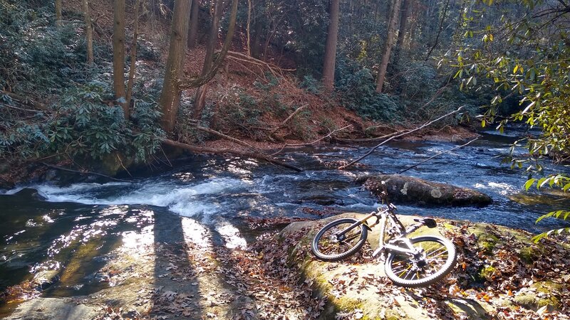 Smith Creek alongside the mountain bike trail.