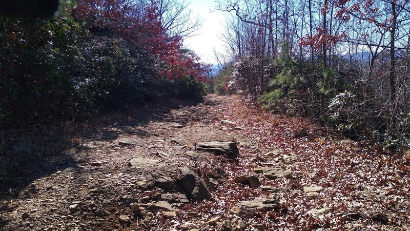 Typical surface of this section of trail. Big, loose rocks.