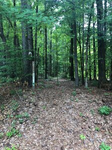 Entrance to River Trail: South from Hwy 83 trailhead.