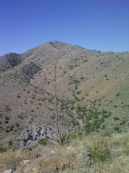 NE side of Mount Fagan (elev 6189')