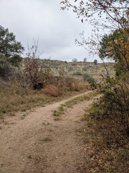 Doubletrack section around primitive camping and vault toilet.