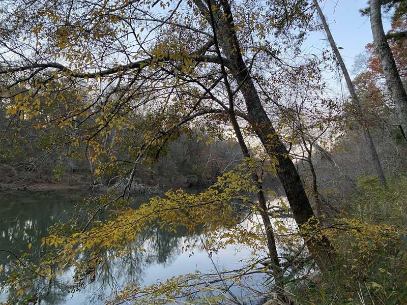 Ocmulgee in December - River Trail South.