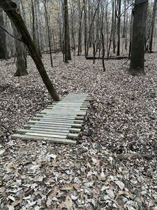 Bridge over 1st Branch.