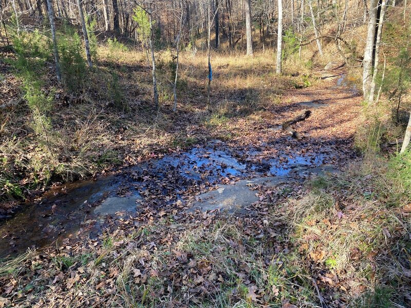 Terrapin Creek crossing - can be VERY slick!