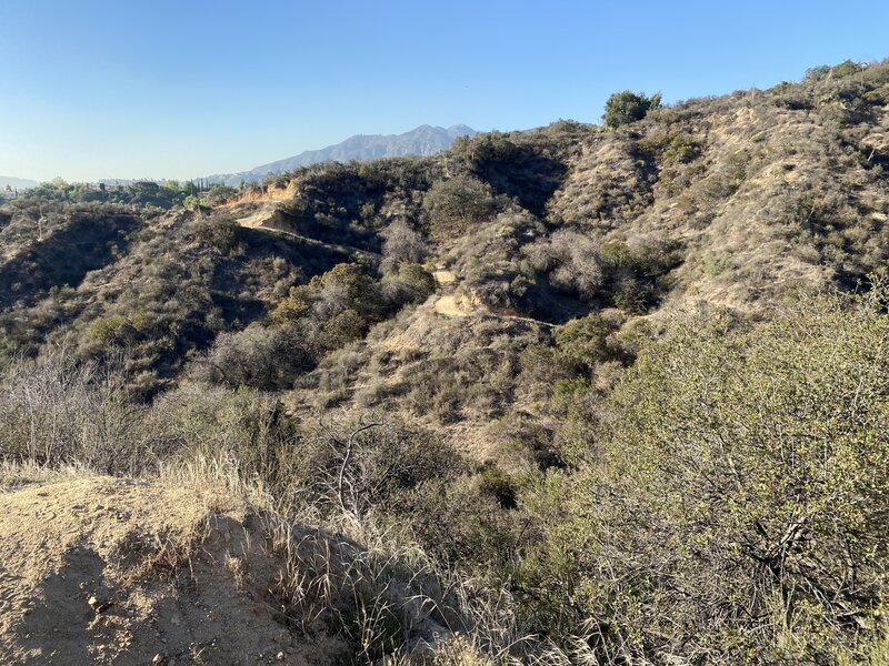 View of uphill section of the Horse Trail.