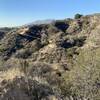 View of uphill section of the Horse Trail.