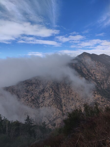 Mt Lowe Railroad Trail.