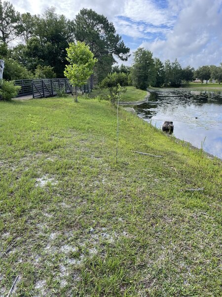 Lake Claire bridge to recreational area.