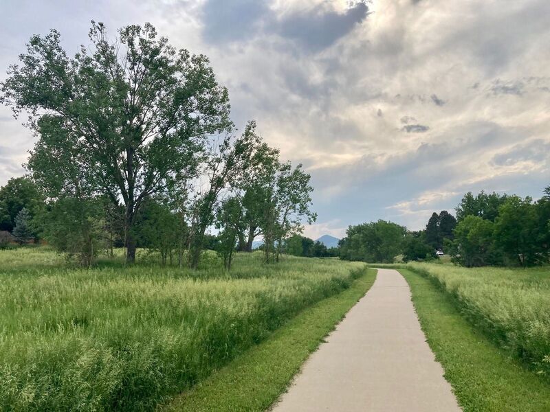 View of the trail in mid-spring.