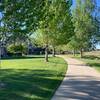 Paved trail lined with trees. Taken May 2021.