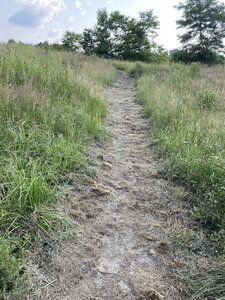 Field section.