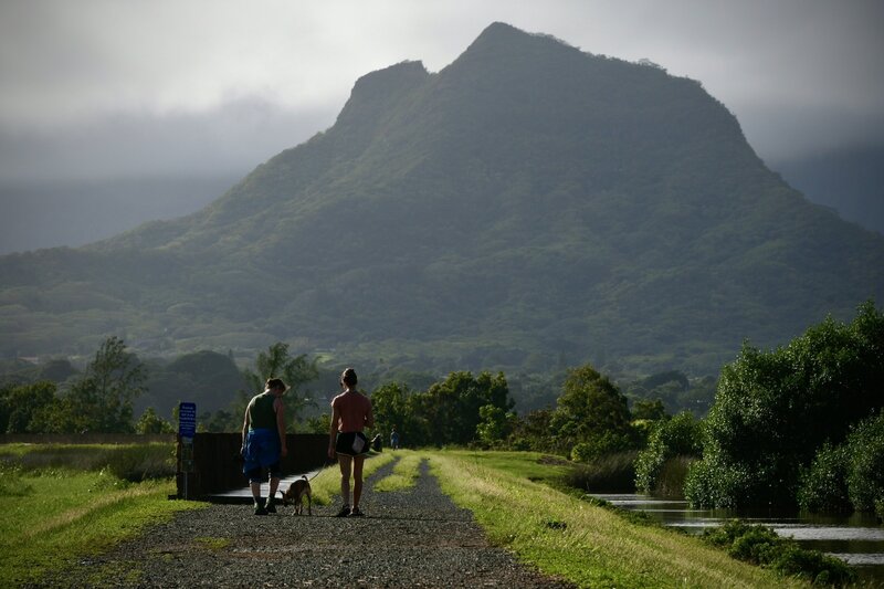 Kawai Nui Trail.