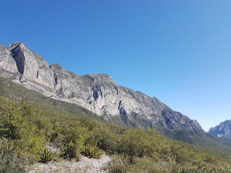 View from the highest point at Rhinos towards the west.