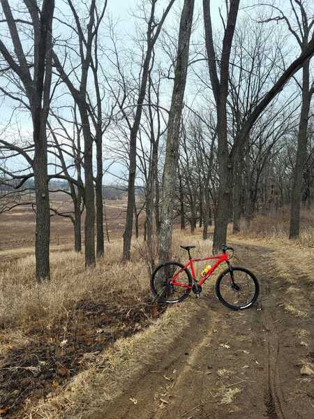 Coming down the hill through the woods on the N/E part of the trail.