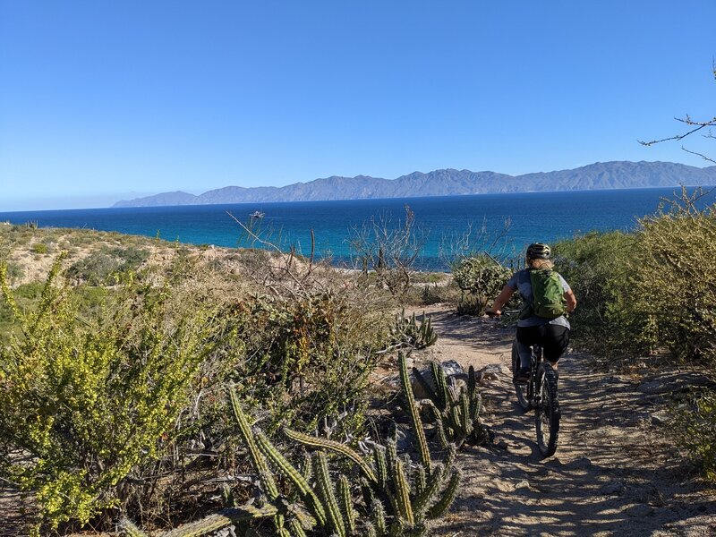 Punta Gorda singletrack with lots of views.