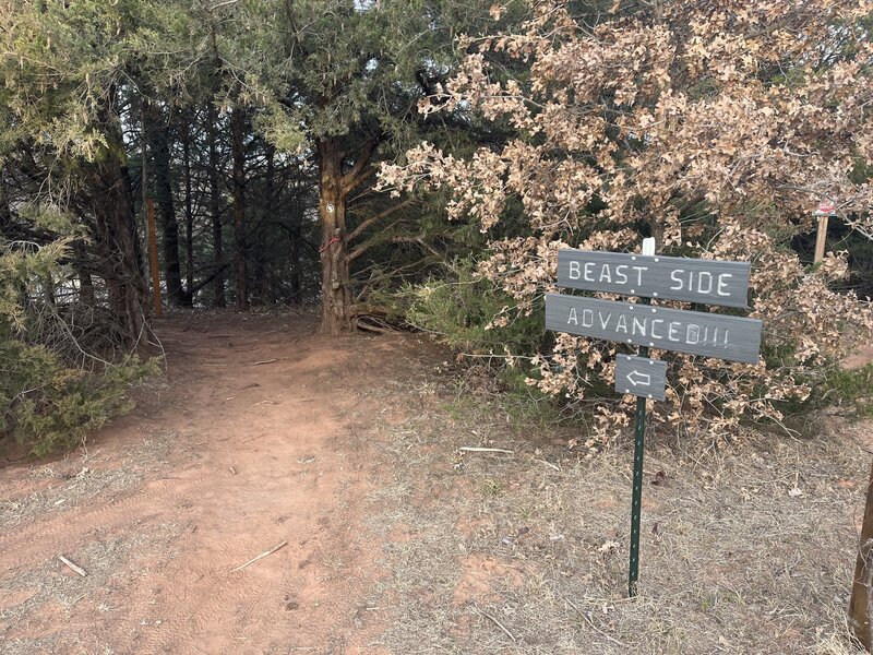 Trail Entrance.