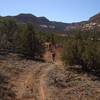 Returning back up the canyon two track to the trailhead.