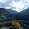 Looking over the valley towards lower Gabrelino Trail from Upper Gabrelino.