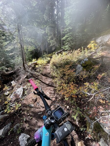 The verity of alpine scenery is incredible.