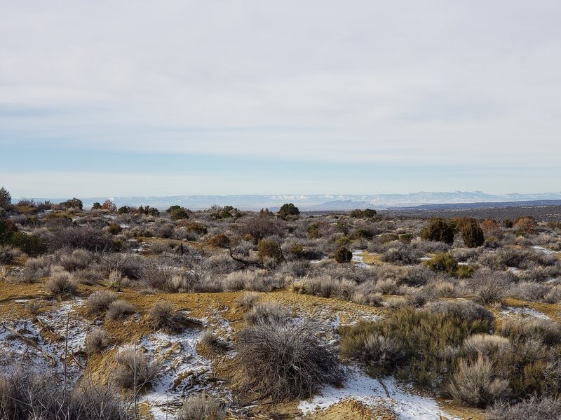 Lukachukai Mountains that straddles the Arizona and New Mexico border.