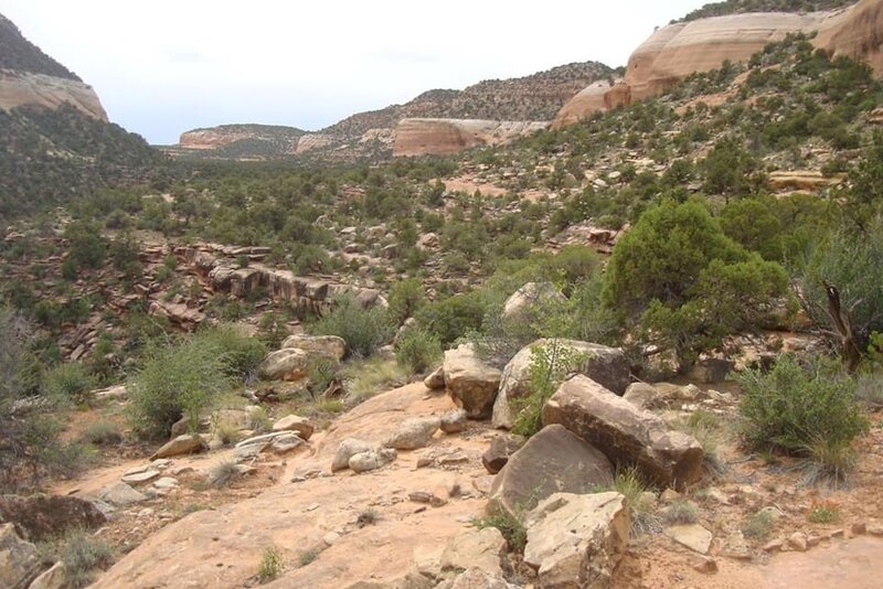 Looking up Red Canyon from the mid way up.