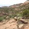 Looking up Red Canyon from the mid way up.