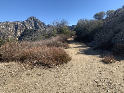 Turning east off of fire-road to the beginning of Colby Canyon Trail. Strawberry Peak in background.