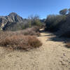 Turning east off of fire-road to the beginning of Colby Canyon Trail. Strawberry Peak in background.