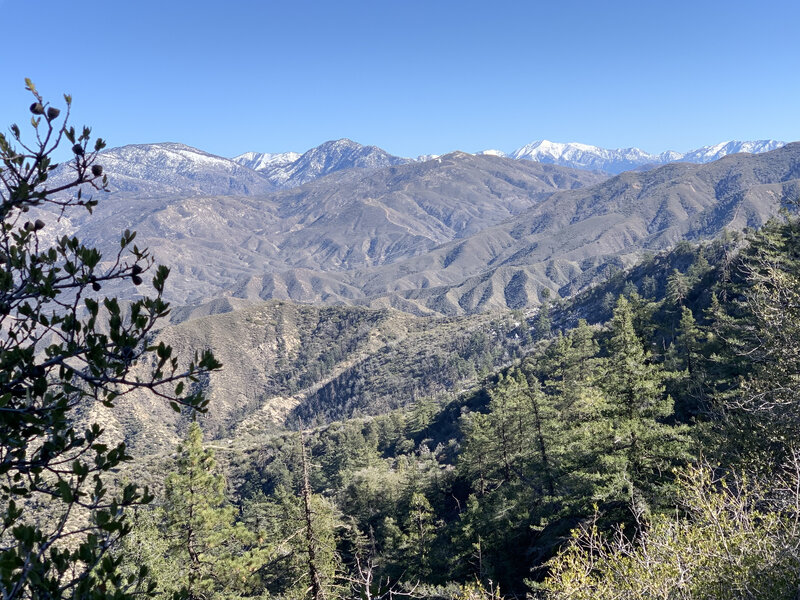 Looking down range to the east.