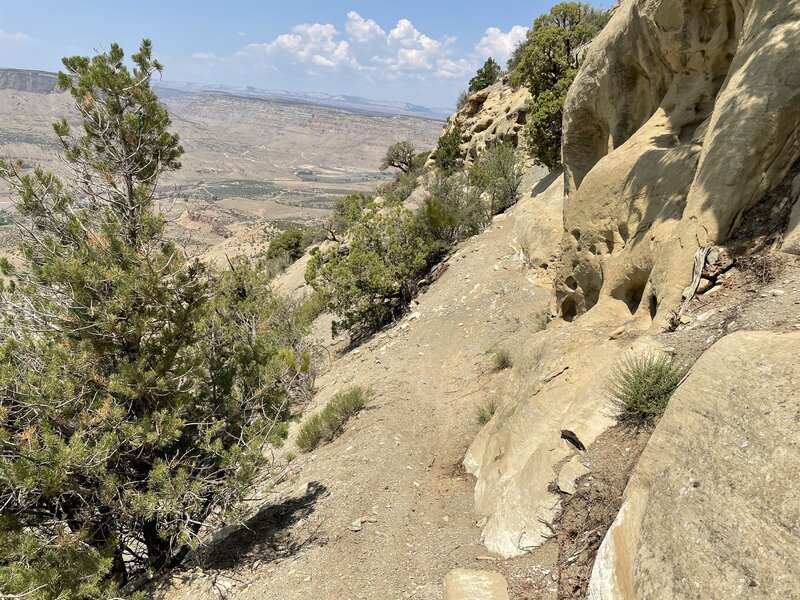 Showing the narrow tread on steep side slope as it heads down towards Palisade.