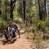 Hand cycle being ridden on Aklow trails.