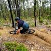 Twists and turns on Rays Trail in the Arklow trail network, Collie.