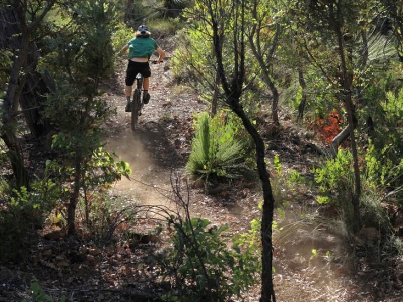 Drop Dead Fred trail in the Collie Wagyl Biddi network (photo courtesy of TraillsWA.com.au).