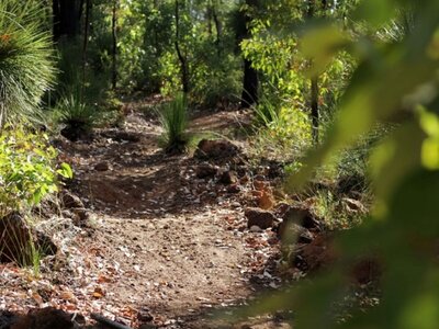 Sprocket's Rocket is part of the Collie Wagyl Biddi network (photo courtesy of TrailsWA.com.au).